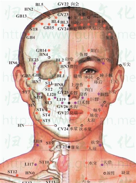 地倉穴位置|人體穴位大全——地倉穴：口眼歪斜、面神經麻痹、三。